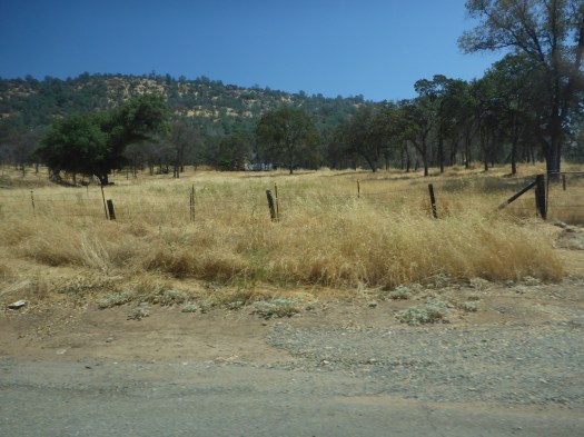 P1050866